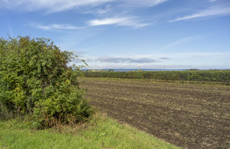 Farm Clearing in Gwinnett County, GA