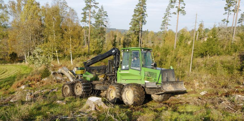 Forestry Clearing in Cumming, GA