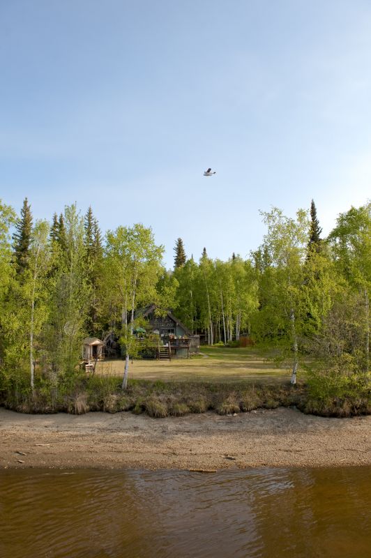 Lake Lot Clearing in Marietta, GA