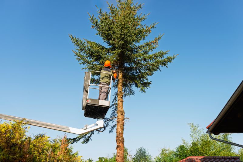 Commercial Tree Trimming in Pottstown, PA