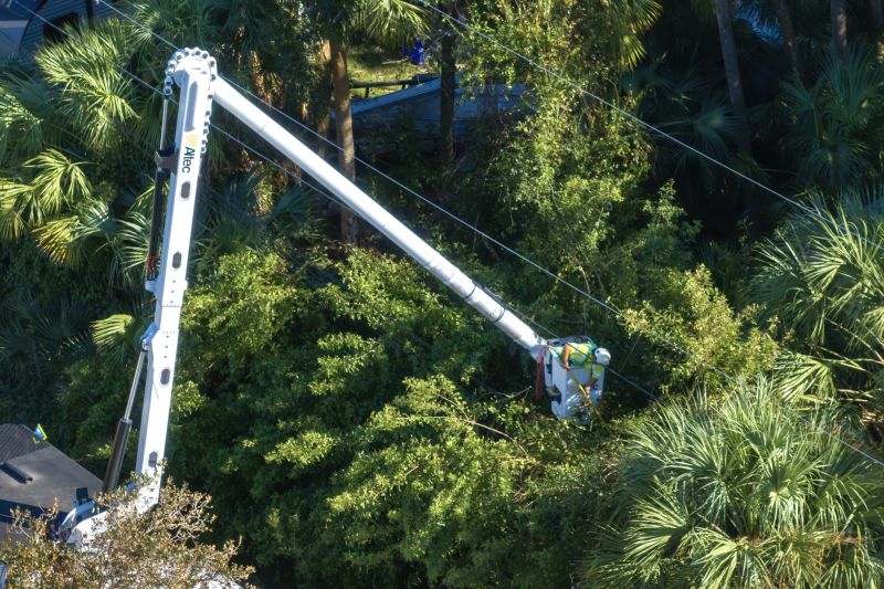 Commercial Tree Trimming in Littleton, CO
