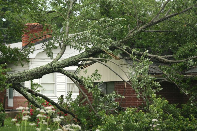 Emergency Tree Removal in Bucks County, PA
