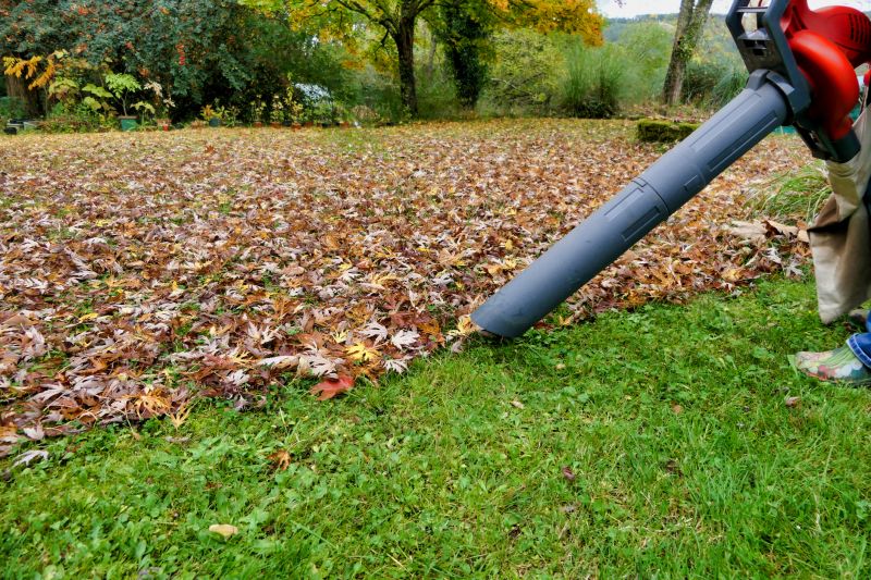 Effective Leaf Blowing
