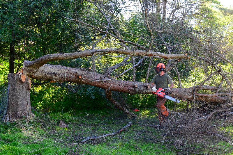 Fallen Tree Removal in Pottstown, PA