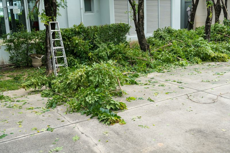 Mimosa Tree Removal in Pottstown, PA