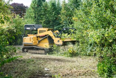 Pasture Clearing in Katy, TX