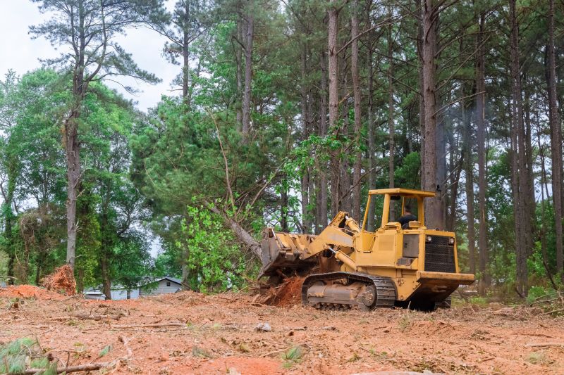 Site Cleaning in Gwinnett County, GA