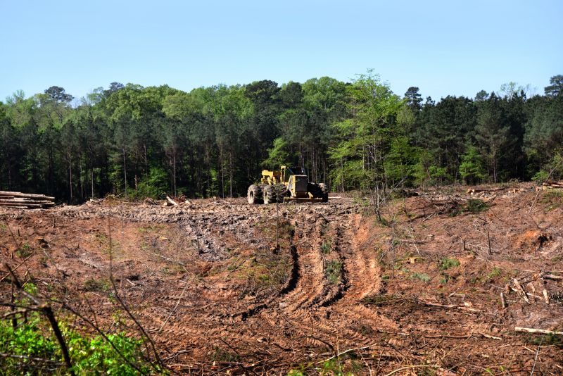 Slope Clearing in Marietta, GA