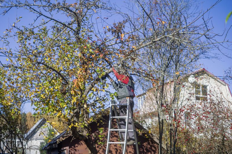 Tree Service in Allentown, PA