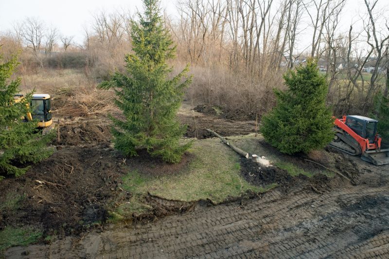 Undergrowth Removal in Salt Lake City, UT