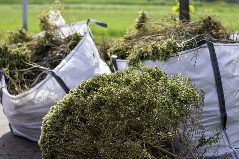 Undergrowth Removal in Katy, TX